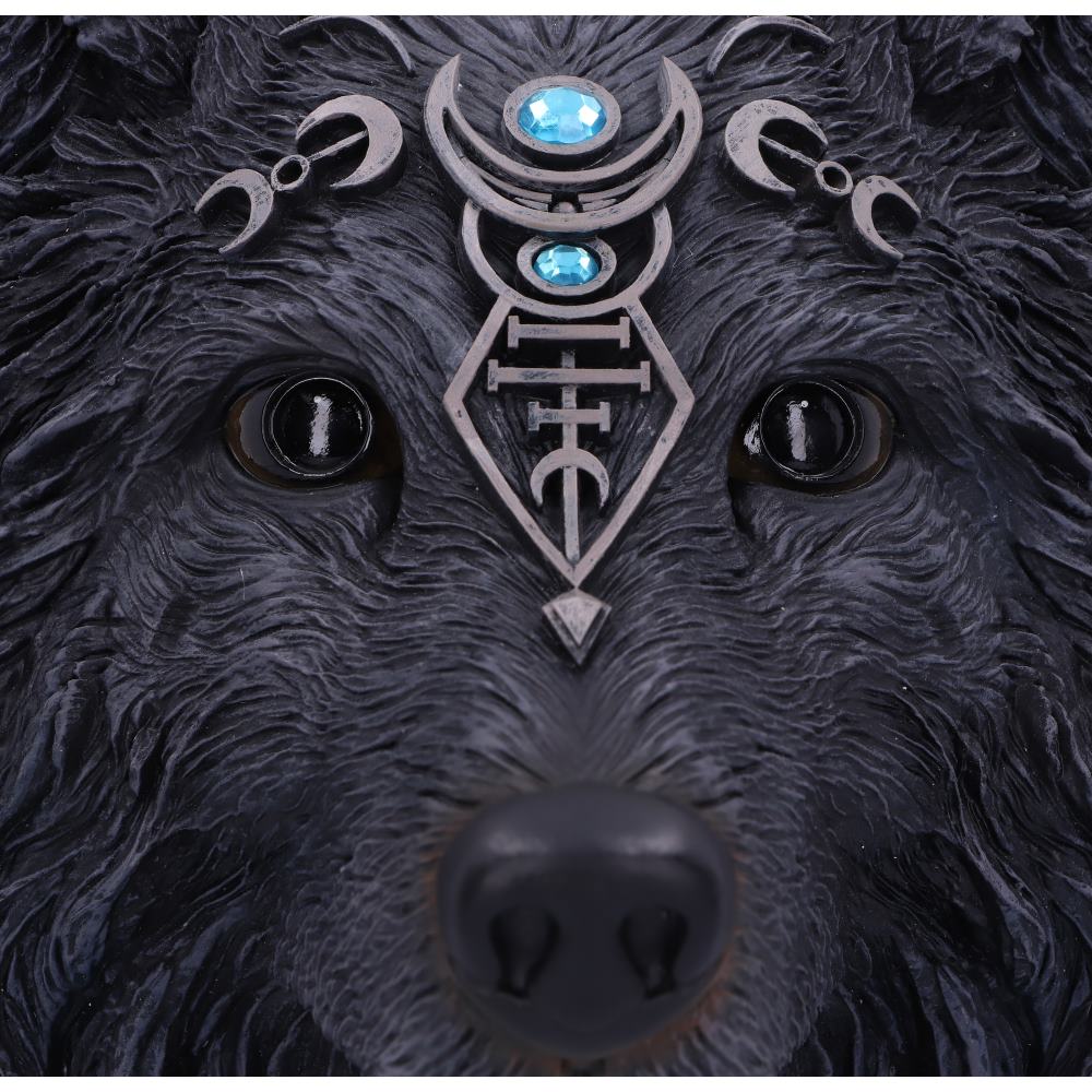 Dark Gothic Magical Wolf Moon Wall Hanging Plaque