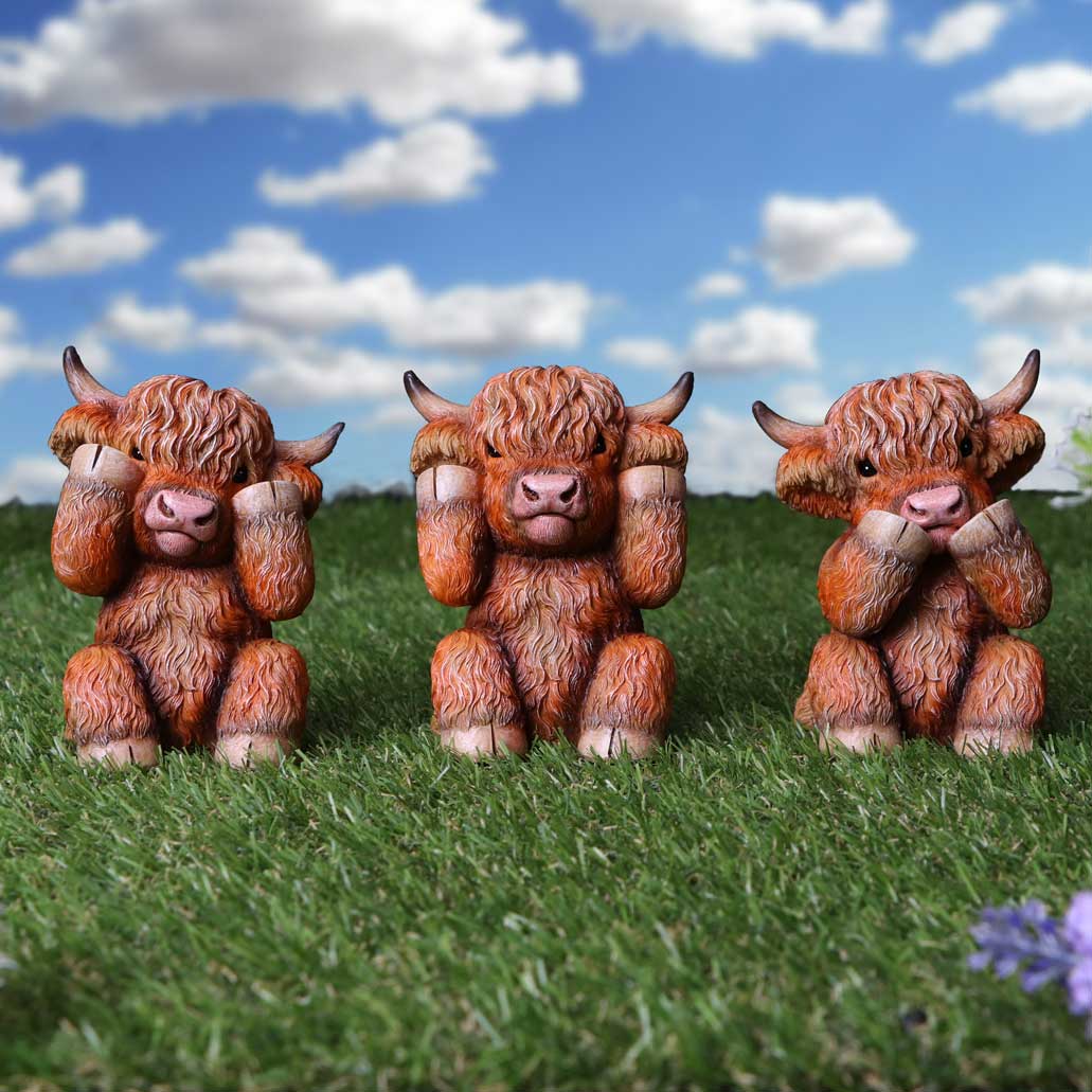 Three Wise Highland Cow Figurines