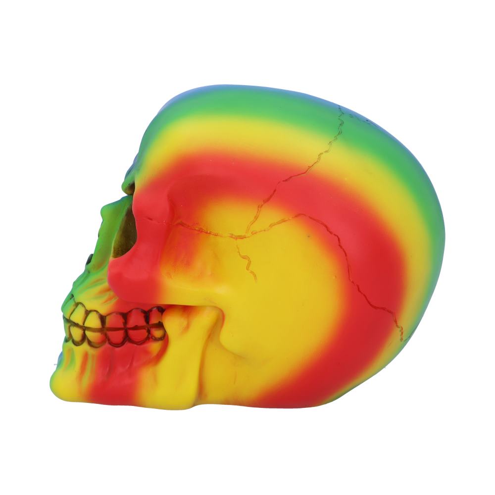 Rainbow Skull (small)