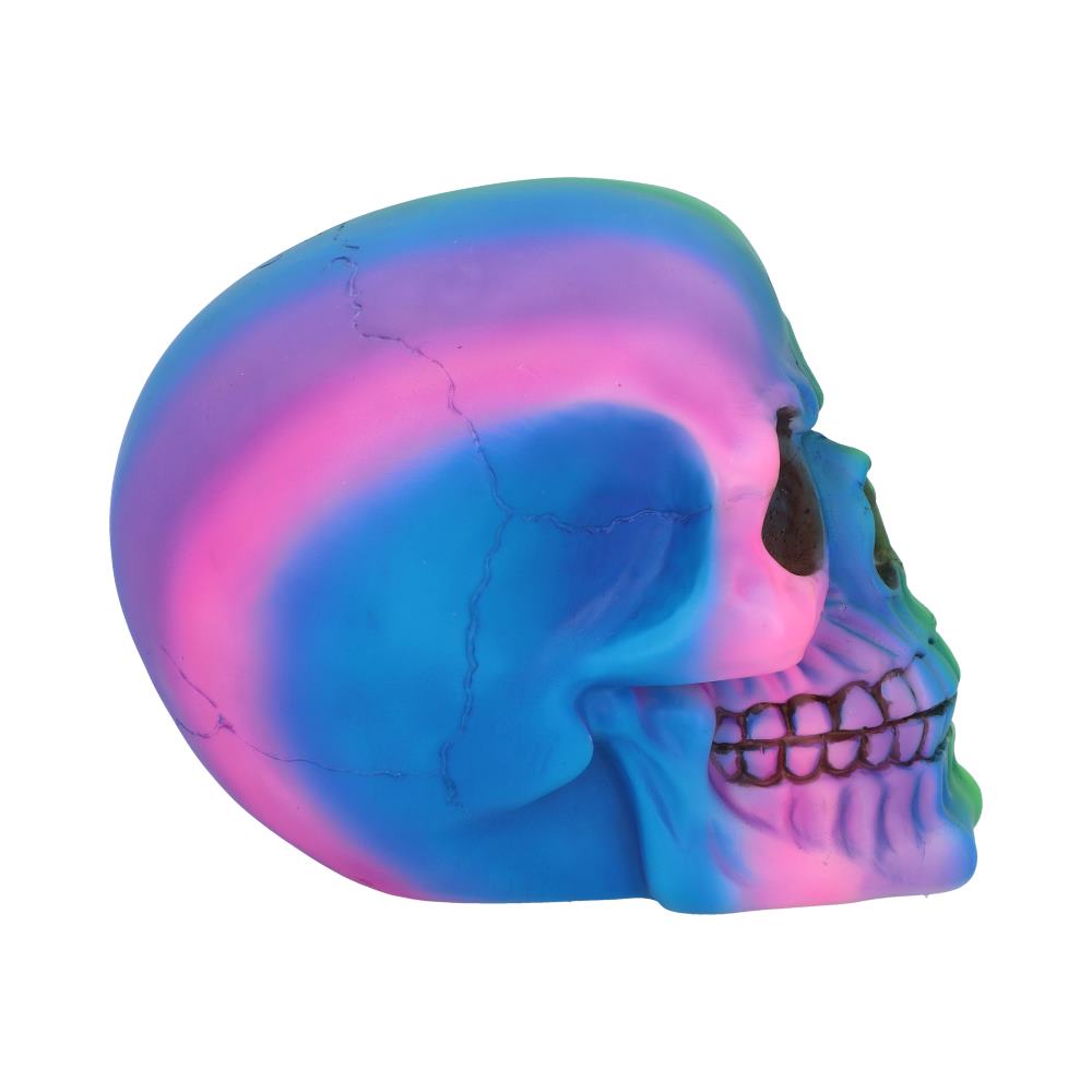 Rainbow Skull (small)