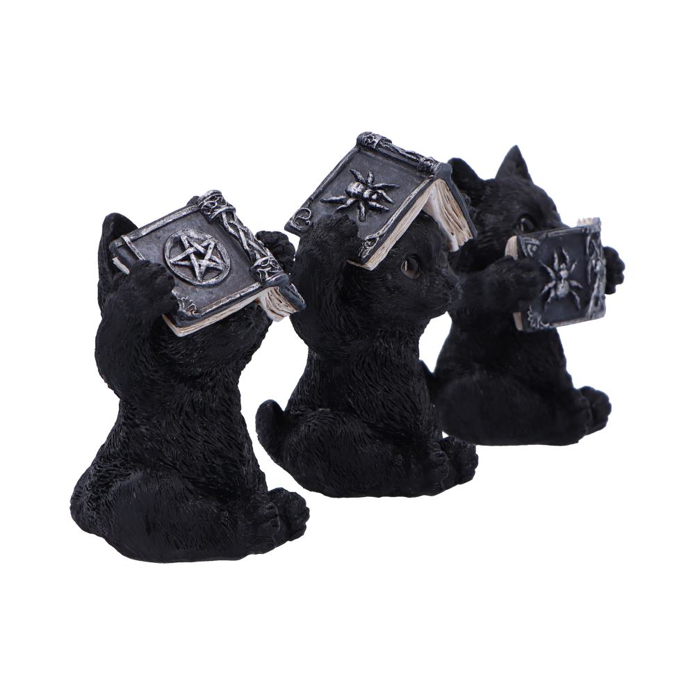 Three Wise Witchy Black Spell Cats
